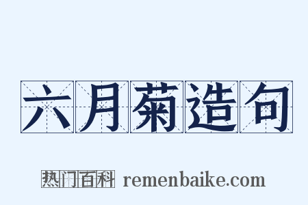 六月菊造句是什么意思的图片